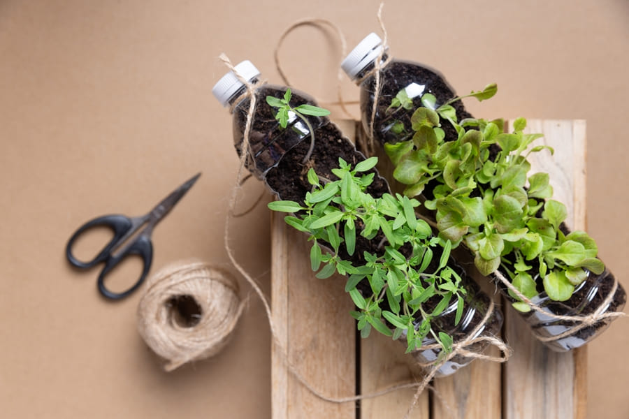 planters with recycled plastic bottles